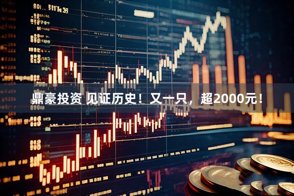鼎豪投资 见证历史！又一只，超2000元！