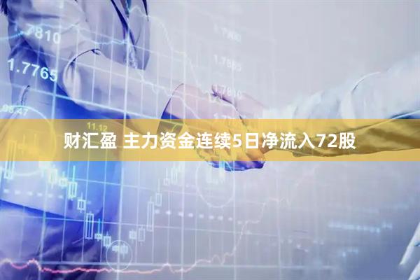 财汇盈 主力资金连续5日净流入72股